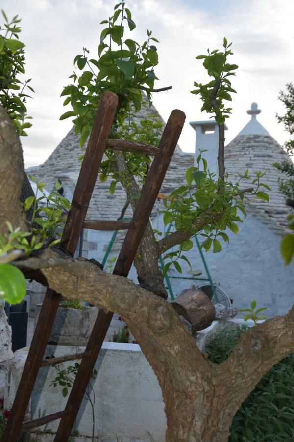 Trulli Di Una Volta Alberobello Eksteriør billede
